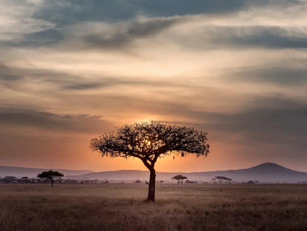 Serengeti - Top Travel Destinations for 2026
