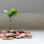 A Beginner’s Guide to Sustainable and ESG Investing