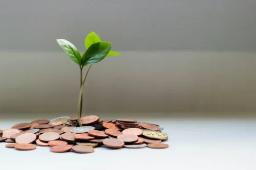 A Beginner’s Guide to Sustainable and ESG Investing