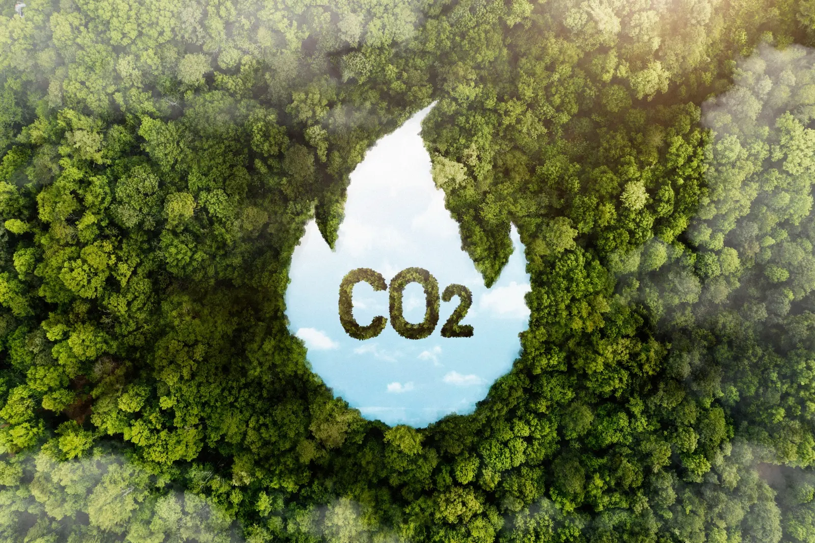Carbon Credits SME Guide