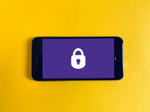 Identity Theft: How to Protect Your Digital Footprint