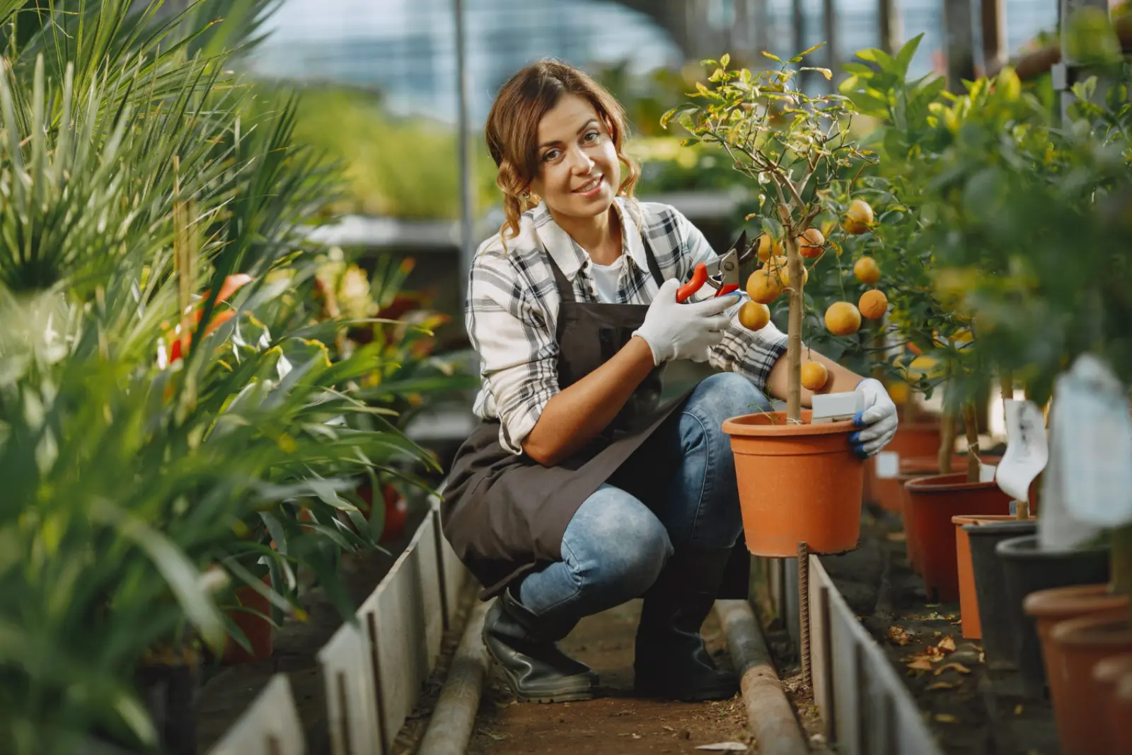 Urban Gardening